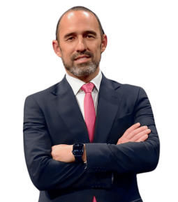 Imagem de Paulo Jardim