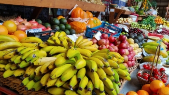 Imagem de Pela primeira vez sozinhos, estudantes procuram nutricionista para “aprender a comer melhor”