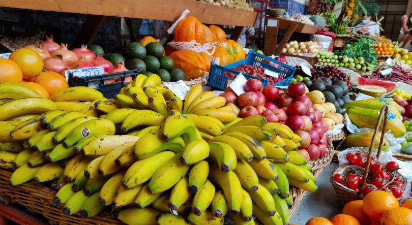 Pela primeira vez sozinhos, estudantes procuram nutricionista para “aprender a comer melhor”