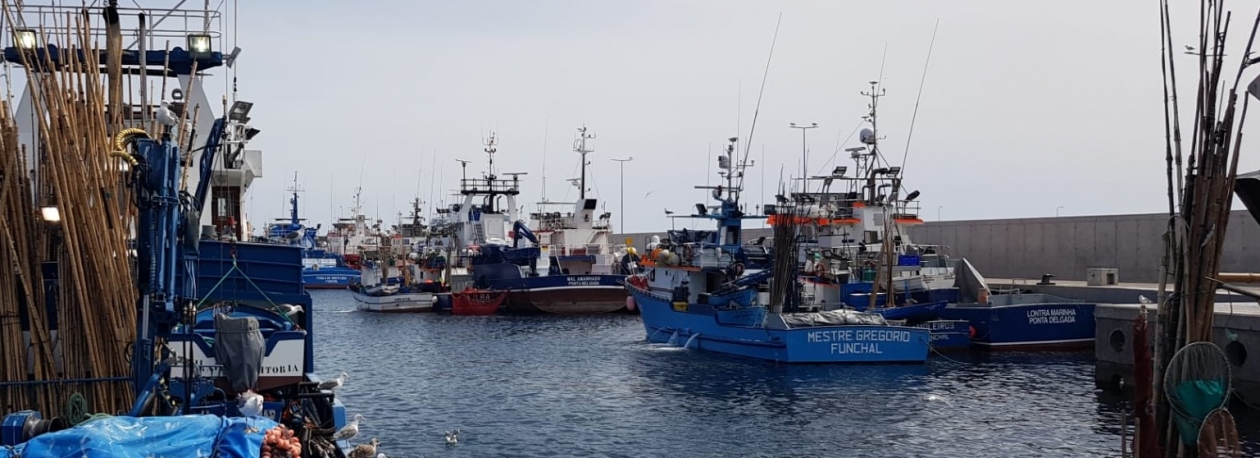 Bruxelas aprova ajudas à renovação da frota pesqueira que vão beneficiar Madeira
