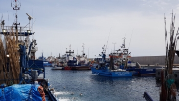 Europa dá ‘luz verde’ à renovação da frota de pesca do peixe-espada-preto (áudio)