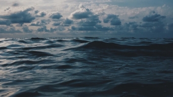 Oceanos podem armazenar mais carbono do que se julgava