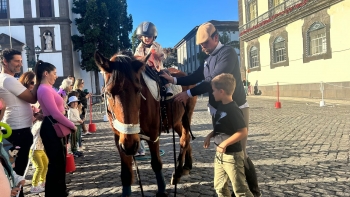 Alguns animais da Camacha viajaram até à Aldeia Natal do Funchal (vídeo)