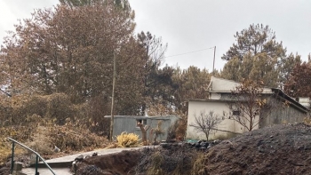 Governo Regional entrega 362 mil euros a seis famílias afetadas por incêndios em outubro