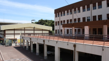 Escolas de Santa Cruz e do Porto Santo vão abrir durante uma hora para divulgar notas