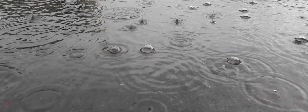 Imagem de Sul da Madeira e regiões montanhosas sob aviso amarelo para a precipitação