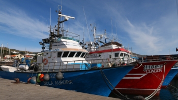 Madeira e Açores poderão abater atuneiros (vídeo)
