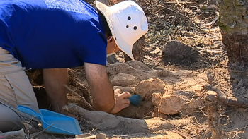 Madeira tem falta de arqueólogos (vídeo)