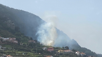 Incêndio mobiliza bombeiros de Machico (vídeo)