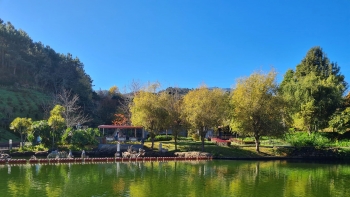 Parque Temático de Santana recebeu 60.500 visitantes no ano passado (áudio)