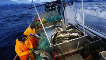 Maioria das embarcações de pesca esconde atividade e muitas pescam em zonas protegidas