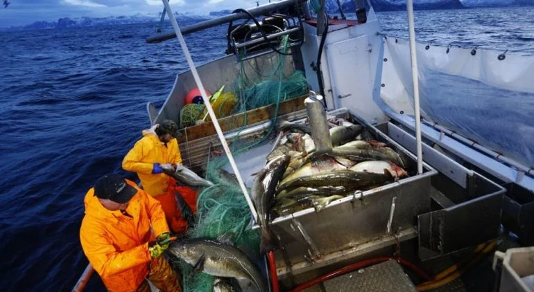 Maioria das embarcações de pesca esconde atividade e muitas pescam em zonas protegidas