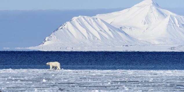 Rapaz arrecada milhares em caminhada no Ártico pela caridade