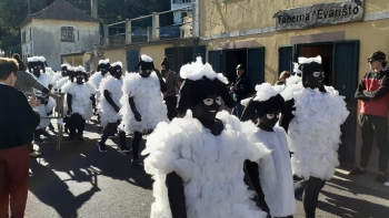 Quinze grupos e trupes participaram no Carnaval da Camacha (vídeo)