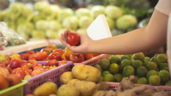 Exportações de frutas, legumes e flores batem novo recorde