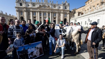 Agricultores oferecem trator ao Papa e levam vaca ao Vaticano