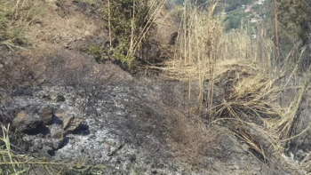 Polícia Florestal identifica autor de queimada ilegal