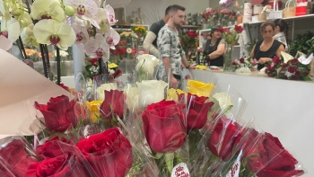 Dia de São Valentim continua a ser um dia bom para o negócio (vídeo)