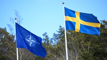 Bandeira da Suécia hasteada em Bruxelas consolida país como 32.º membro da NATO
