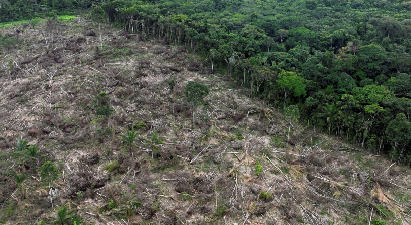 Destruição da Amazónia brasileira regista queda de 29,7% em fevereiro