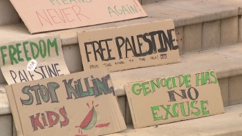 Manifestação a favor dos direitos humanos na Palestina (vídeo)