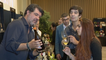 Há cada vez mais consumidores de vinho em Portugal (vídeo)
