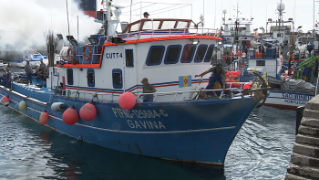 Pescadores de atum na Madeira pedem mais quota (vídeo)