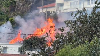 Incêndio em Machico mobiliza bombeiros (vídeo)