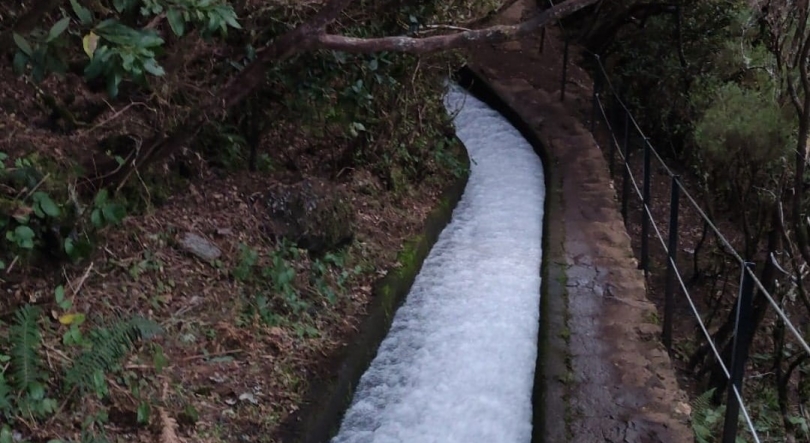 Imagem de Turistas perderam-se numa levada no Curral das Freiras