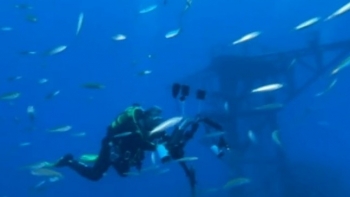 Porto Santo recebe a 3.ª edição do Madeira Under Water (vídeo)