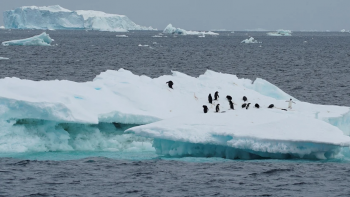 Missão portuguesa à Antártida recolheu dados de “elevado potencial científico”