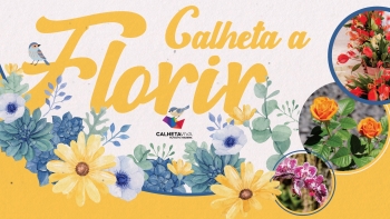 Câmara da Calheta já abriu as inscrições para a mostra de jardins ‘Calheta a Florir’ (áudio)