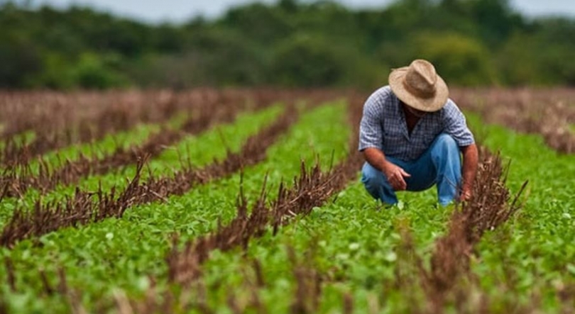 Imagem de Governo Regional aprova contratos-programa com associações de agricultores