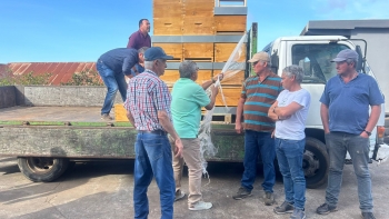 JPP oferece 90 colmeias aos apicultores da Ponta do Pargo (vídeo)