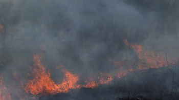 Bombeiros Sapadores de Santa Cruz foram mobilizados para um incêndio na zona de restauração no Caniço