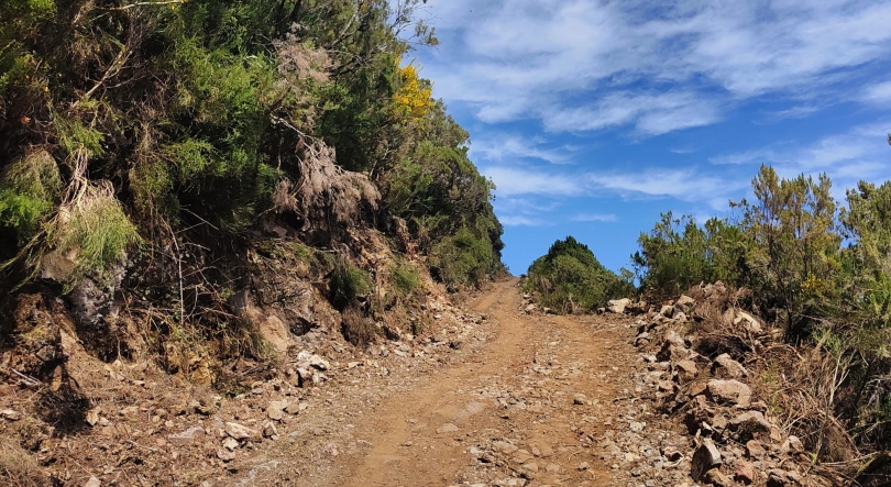 Imagem de Governo decidiu revogar o concurso para a pavimentação da Estrada das Ginjas