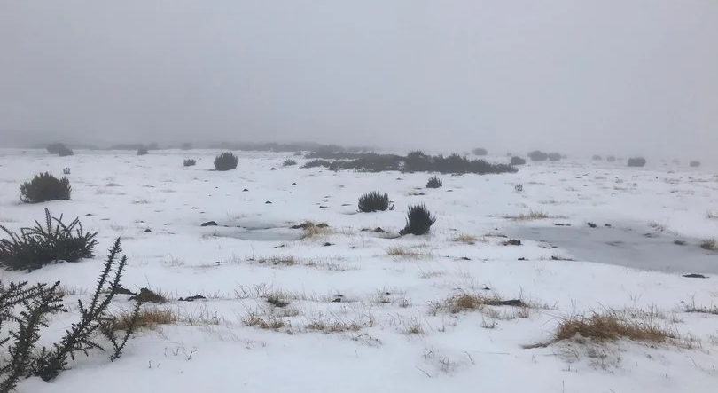 Imagem de Neve pode regressar aos picos mais altos da Madeira
