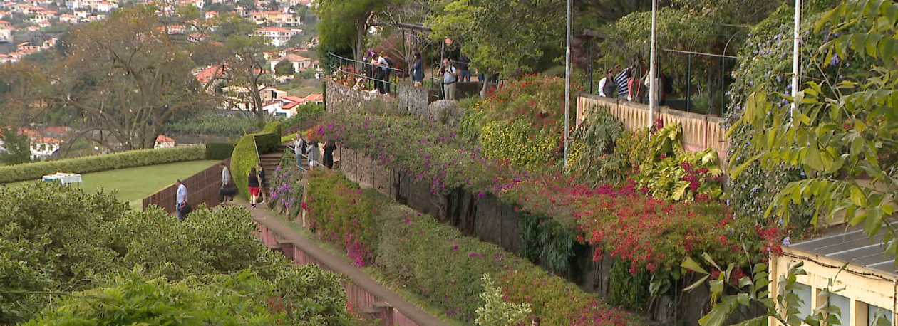 Jardim Botânico da Madeira recebeu mais de 402 mil visitantes (vídeo)