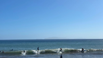 Prática de surf terá regras nas praias da Madeira (áudio)