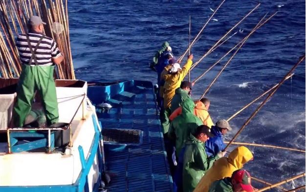 Pescadores indignados por não puderem pescar (vídeo)