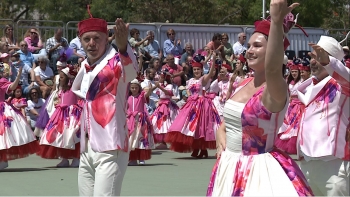 Baile da Flor revela o trabalho dos grupos (vídeo)