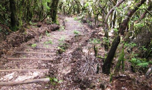 Turista suíça resgatada na Levada dos Cedros no Fanal (áudio)