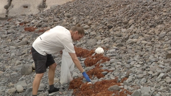 Andrea Noe na Madeira para limpar as praias (vídeo)