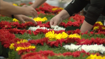 Tapetes tradicionais anunciam a Festa da Flor (vídeo)