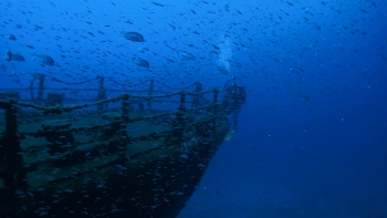 Madeira Underwater anuncia vencedores (vídeo)