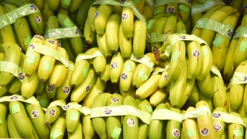 Comercialização de banana cresceu 18,7% em termos homólogos