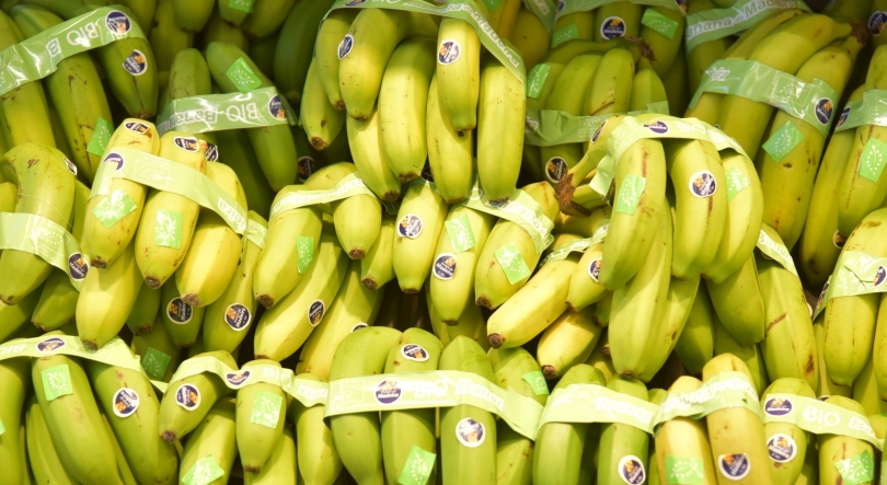 Comercialização de banana cresceu 18,7% em termos homólogos