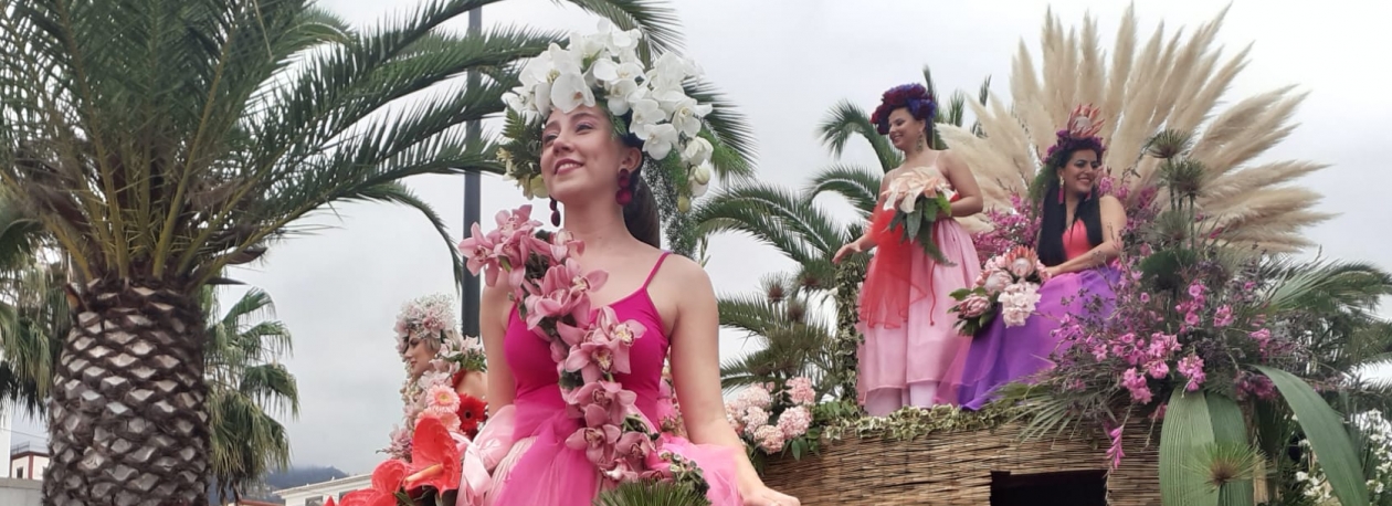 Imagem de Festa da Flor arranca esta quinta-feira com cortejo inovador (áudio)
