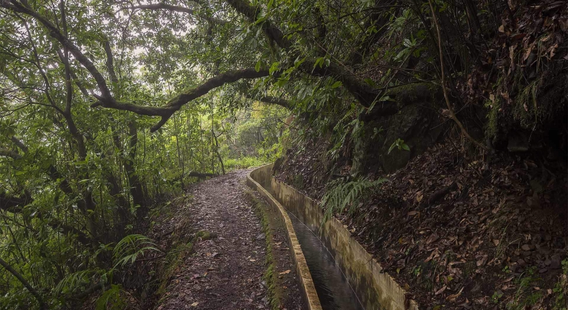 Madeira nomeada para cinco categorias dos World Travel Awards