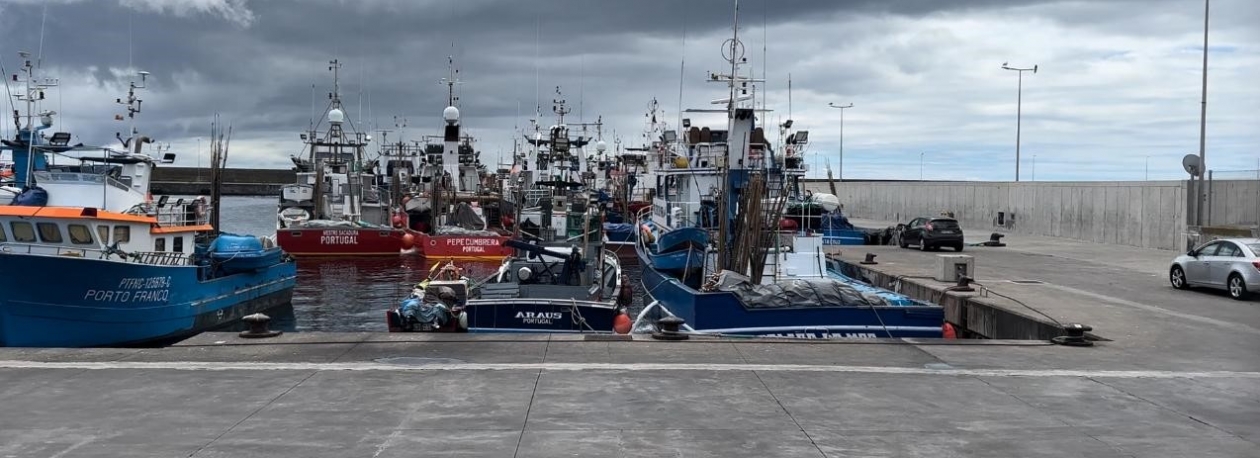 Imagem de Mau tempo e aumento dos combustíveis atrasam faina (vídeo)